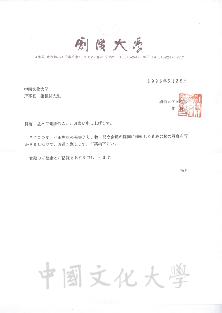 1996年5月28日創價大學國際部部長北政巳致董事長張鏡湖函，報告張董事長所植櫻花樹生長狀況的圖檔，第1張，共2張