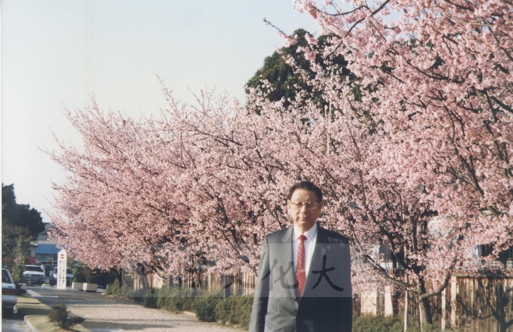 1996年4月2日至6日本校舉行「東瀛賞櫻之旅」教職員工自強活動的圖檔，第2張，共11張