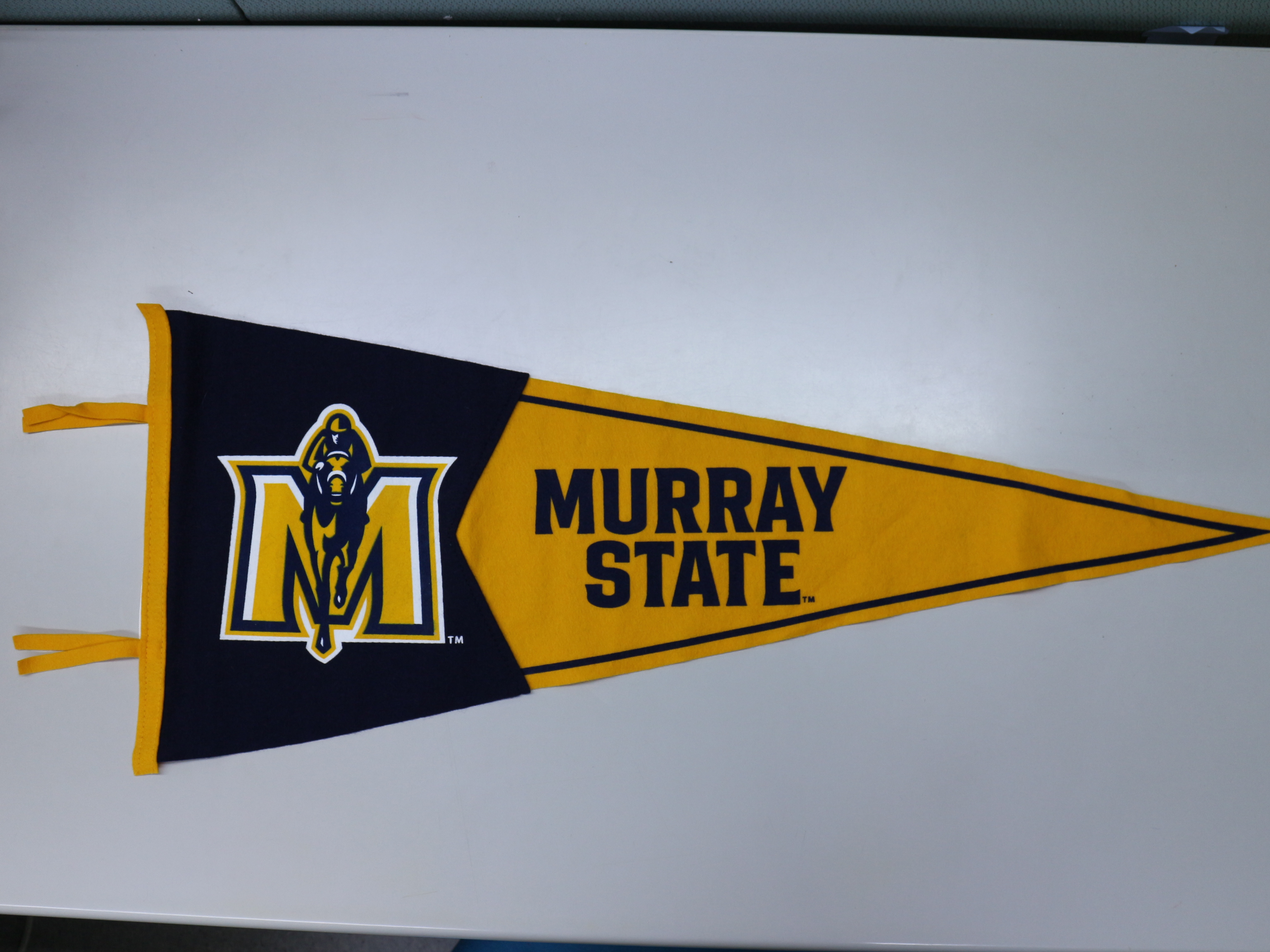 2012年4月25日美國姐妹校莫瑞州立大學(Murray State University)致贈校錦旗一面的圖檔，第1張，共1張
