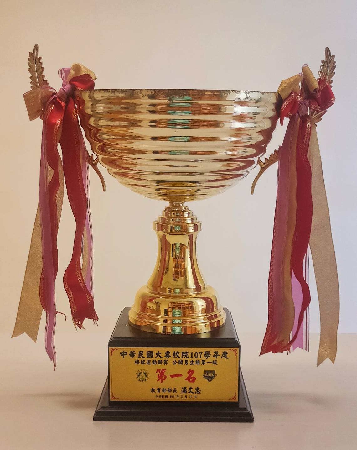 2019年3月19日中國文化大學棒球隊勇奪中華民國大專校院107學年度棒球運動聯賽公開男生組第一級第一名的圖檔，第1張，共1張