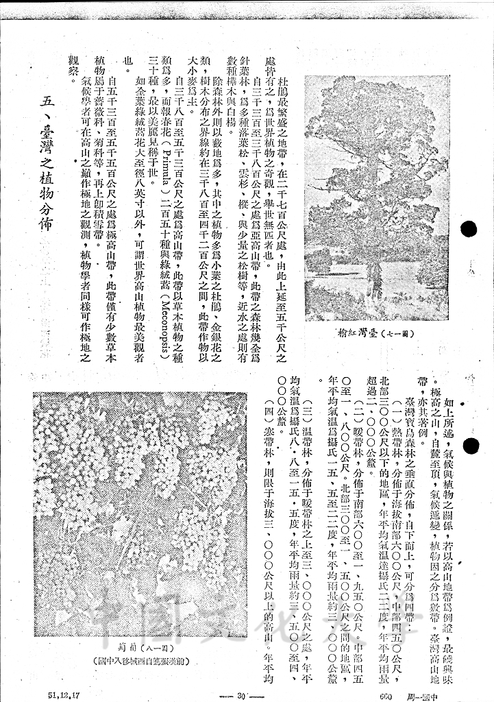 中國之自然植物的圖檔，第2張，共13張