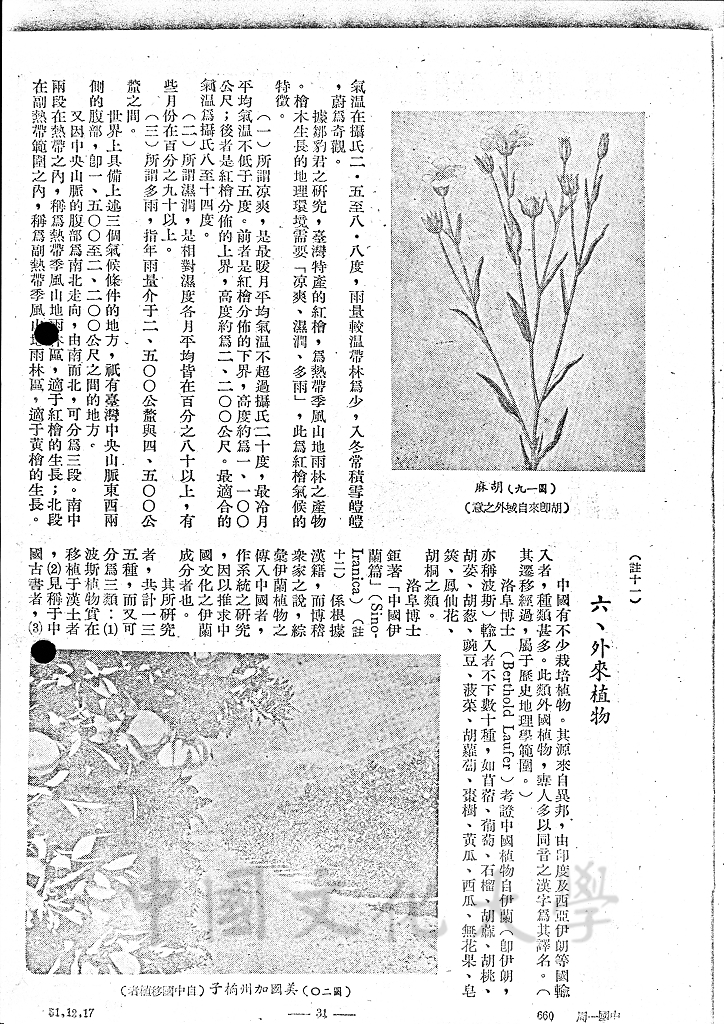 中國之自然植物的圖檔，第3張，共13張