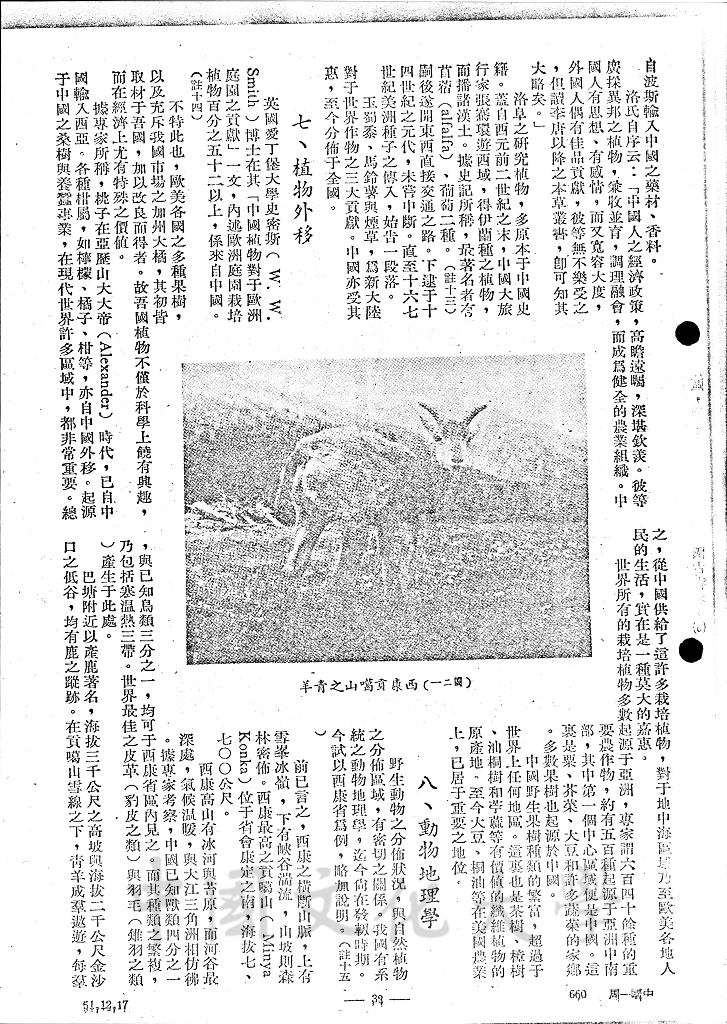 中國之自然植物的圖檔，第4張，共13張