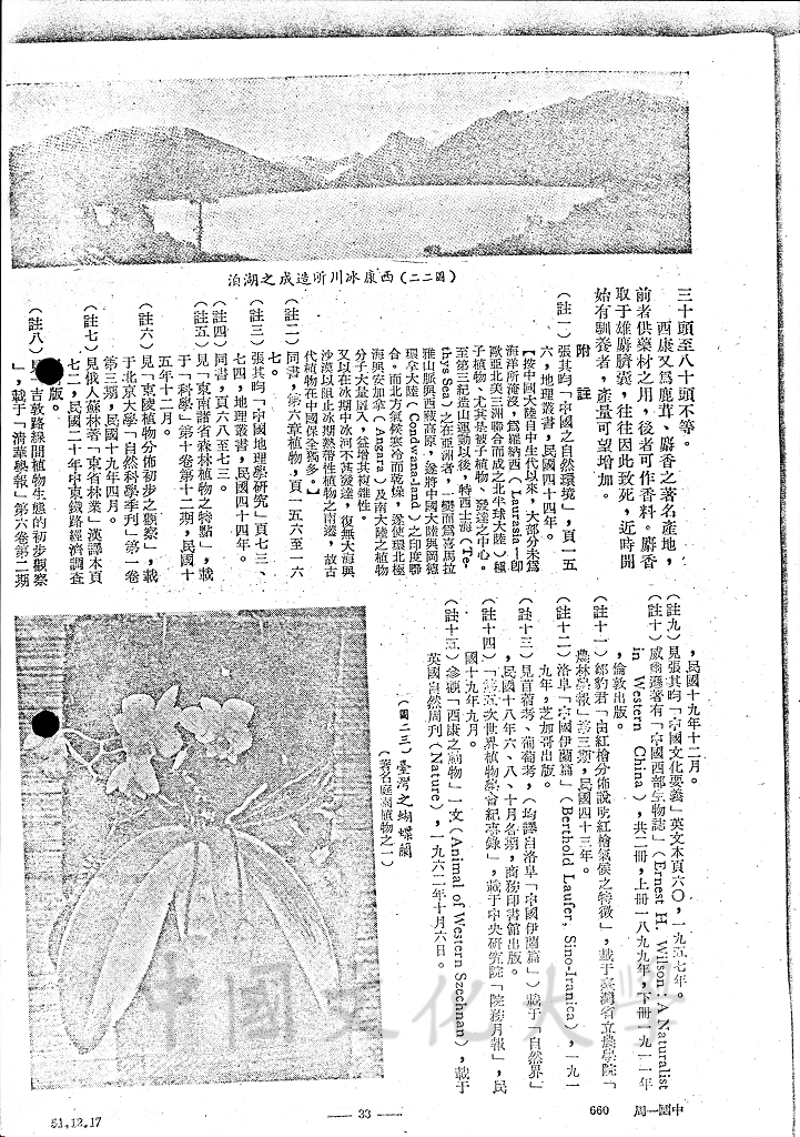 中國之自然植物的圖檔，第5張，共13張