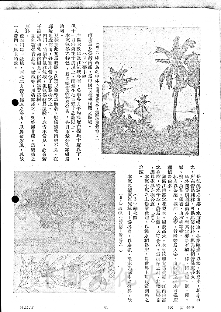 中國之自然植物的圖檔，第7張，共13張