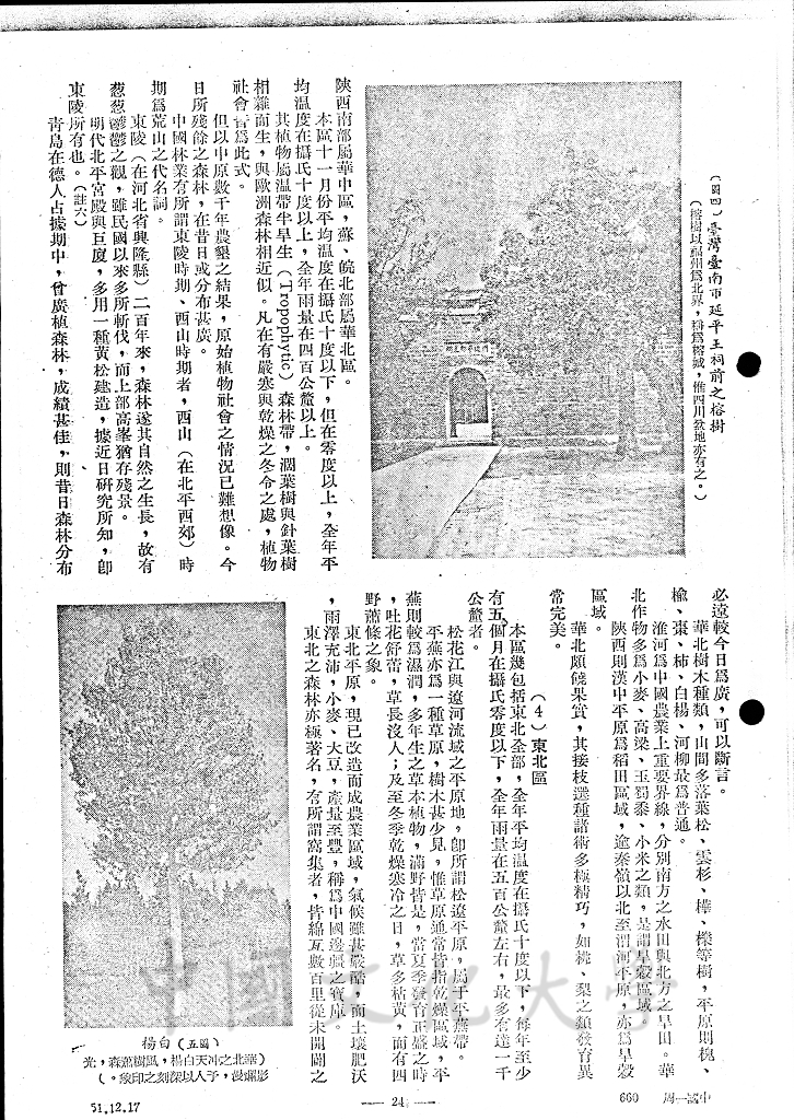中國之自然植物的圖檔，第8張，共13張