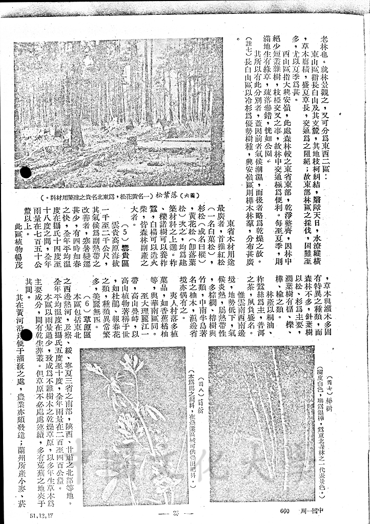 中國之自然植物的圖檔，第9張，共13張