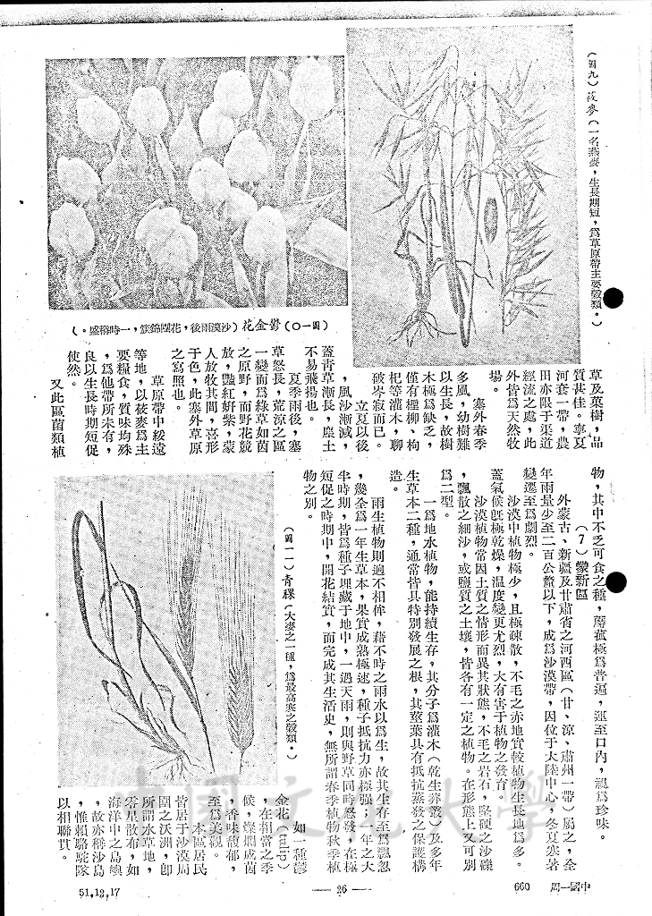 中國之自然植物的圖檔，第10張，共13張