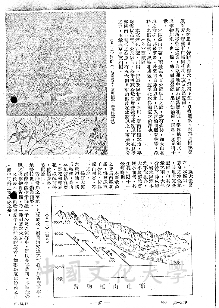 中國之自然植物的圖檔，第11張，共13張
