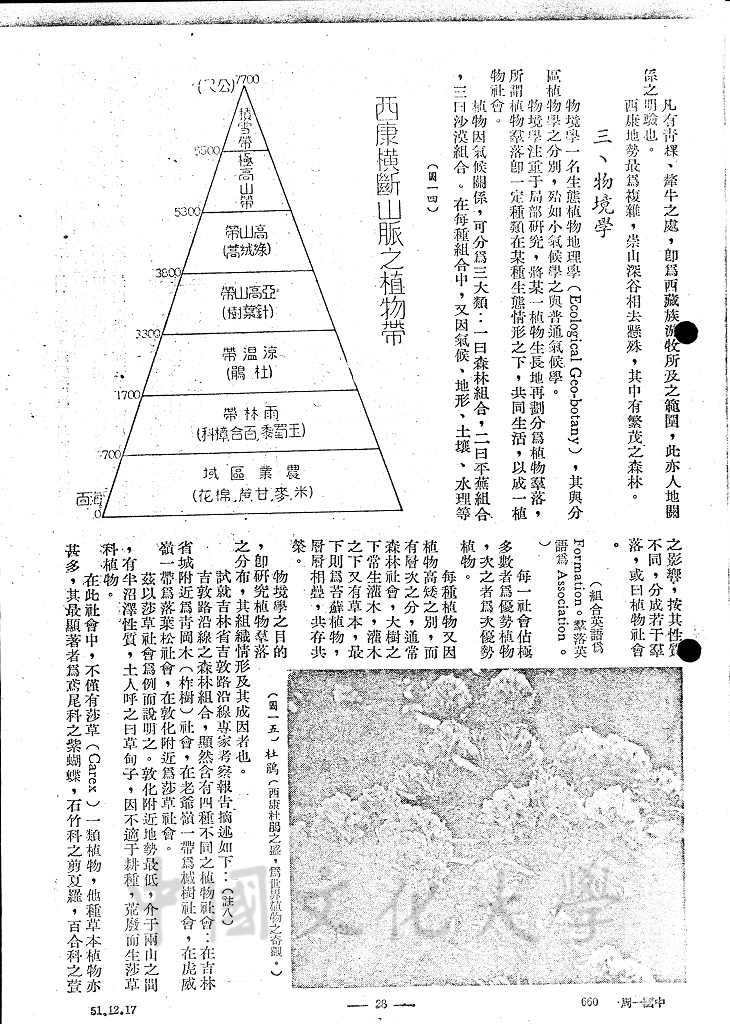 中國之自然植物的圖檔，第12張，共13張