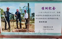 2008年5月18日董事長張鏡湖在福建農林大學中華名特優植物園浙江園種植浙江桂植樹紀念的圖片
