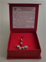 2011年5月24日越南河內國家大學(Vietnam National University, Hanoi)致贈鐘形玉吊飾的圖片