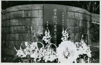 胡宗南將軍之墓的圖片