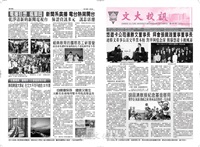 文大校訊第493期的圖片