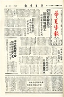 華夏導報第251號的圖片