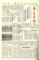 華夏導報第445號的圖片