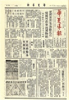 華夏導報第1214號的圖片