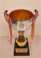 1998年3月4日中國文化大學棒球隊榮獲中華民國大專院校八十六學年度棒球聯賽第二階段中華藍白選拔比賽中華藍亞軍的圖片
