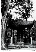 陝西黃帝陵的圖片
