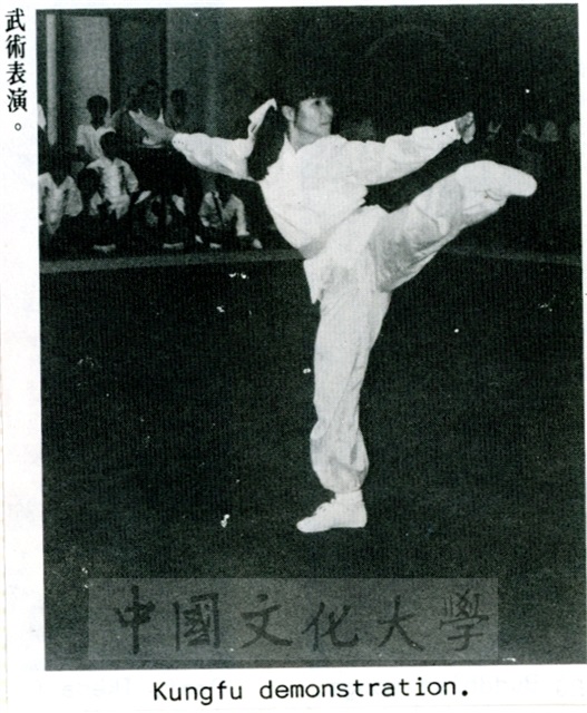 作品圖檔，第8張