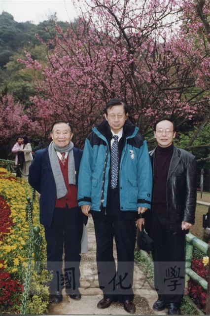作品圖檔，第3張