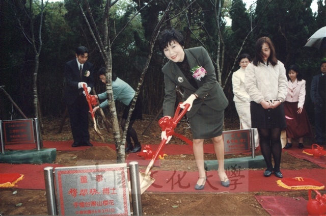 作品圖檔，第8張