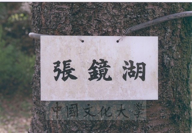 作品圖檔，第4張