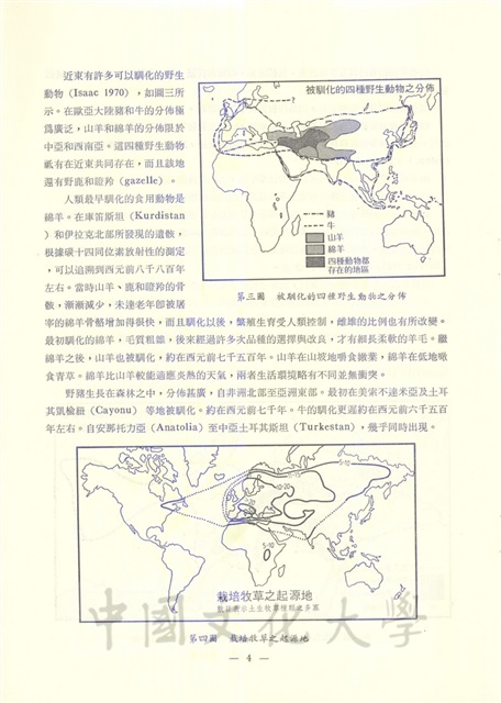 作品圖檔，第5張