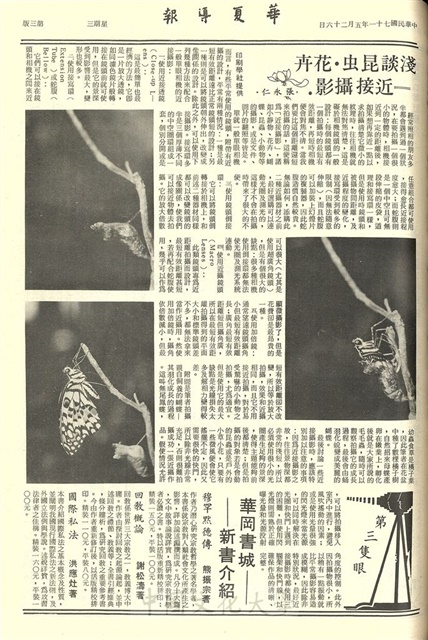 作品圖檔，第3張