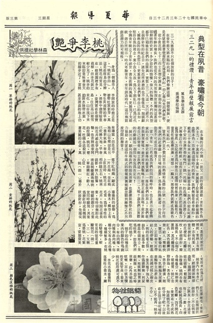作品圖檔，第3張
