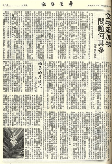 作品圖檔，第3張