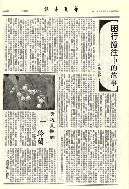 作品圖檔，第4張