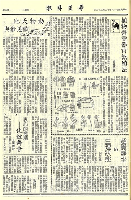 作品圖檔，第3張