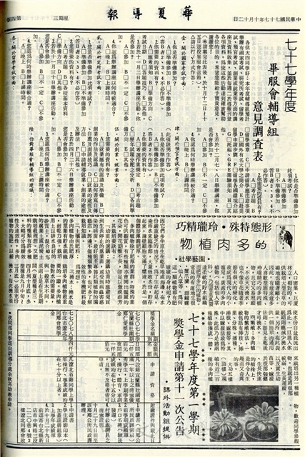 作品圖檔，第4張