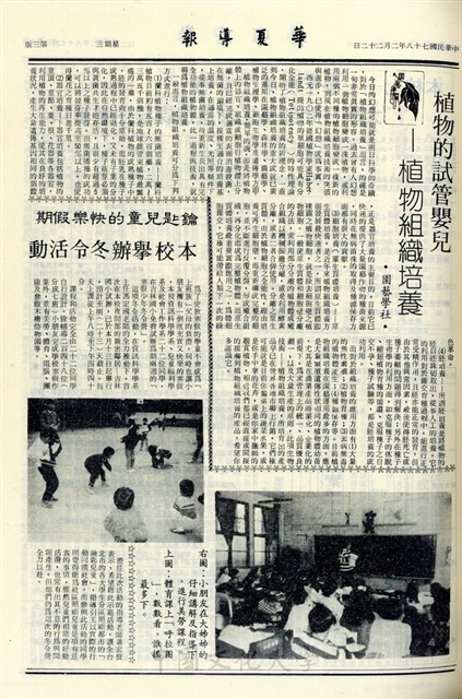 作品圖檔，第3張