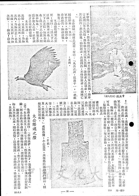 作品圖檔，第6張
