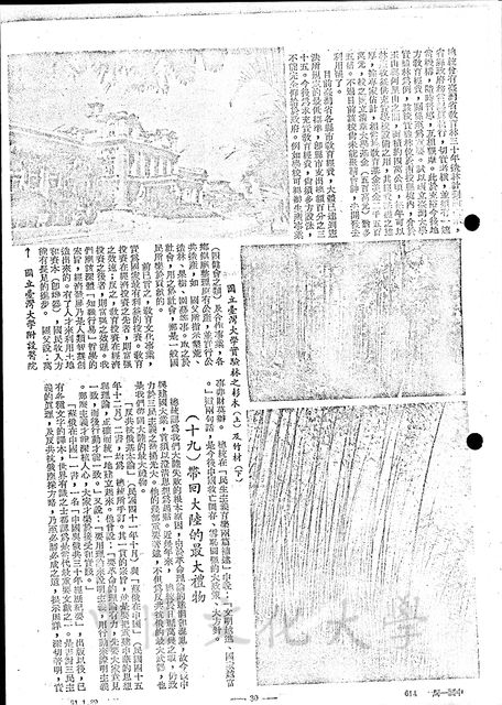 作品圖檔，第9張