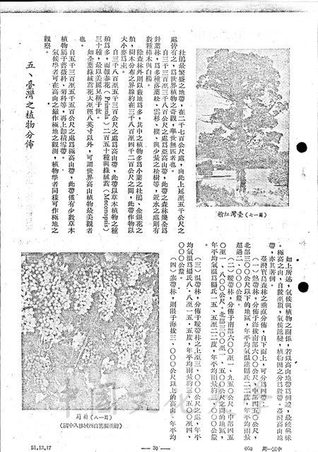 作品圖檔，第2張