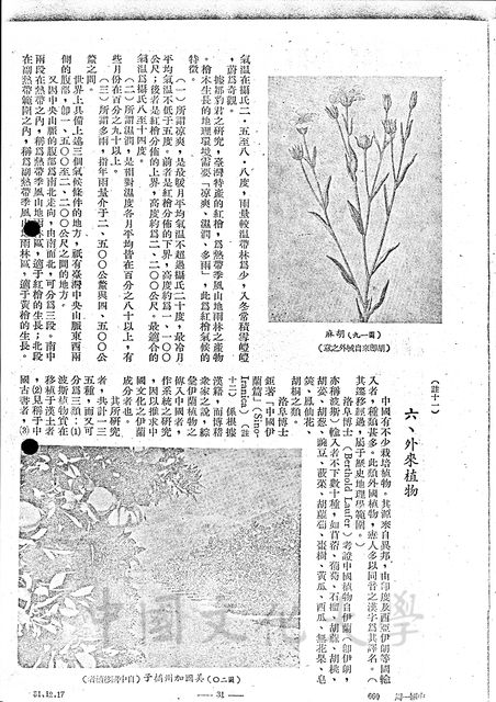 作品圖檔，第3張