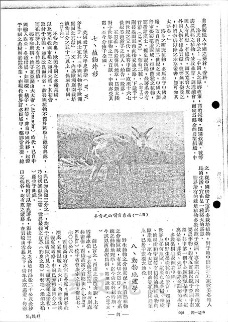 作品圖檔，第4張