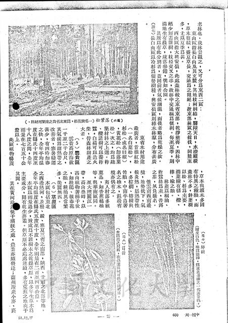 作品圖檔，第9張
