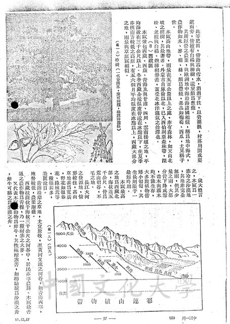 作品圖檔，第11張