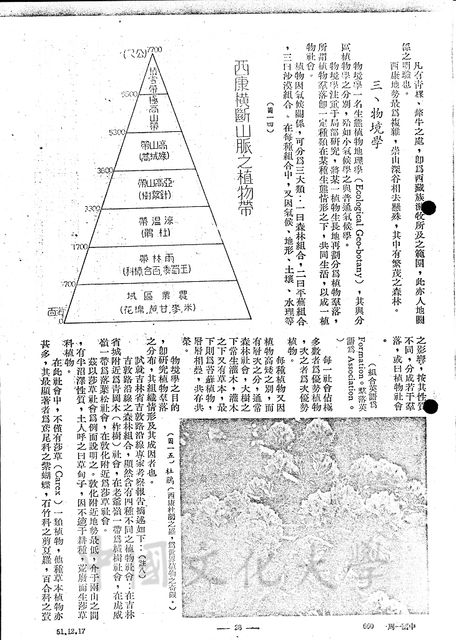 作品圖檔，第12張