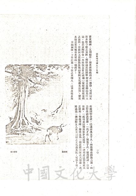 作品圖檔，第4張