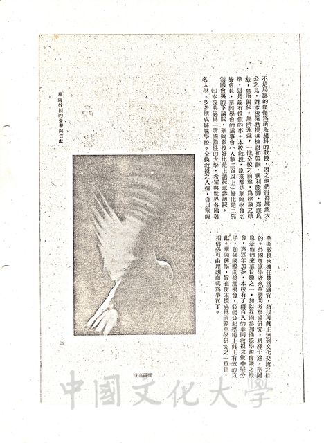 作品圖檔，第2張