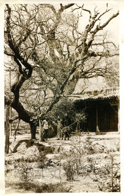 作品圖檔，第1張