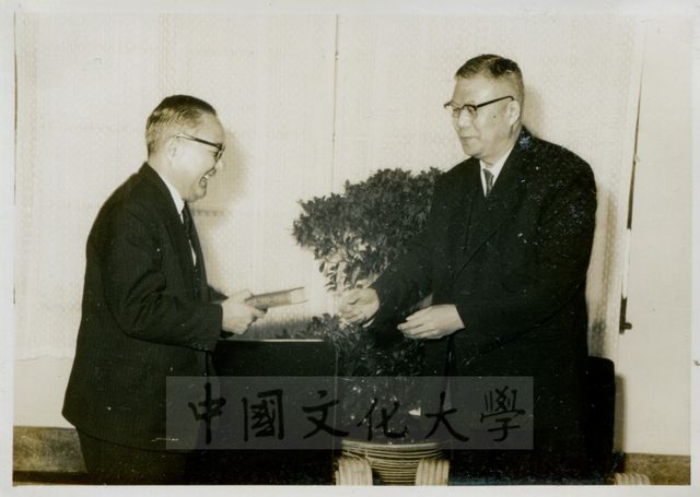 作品圖檔，第1張