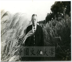 民國51年:中國文化研究所